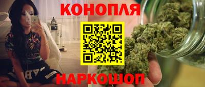 гидра Можайск