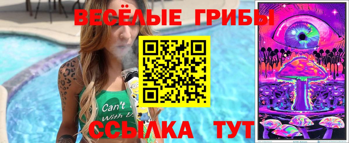 Псилоцибиновые грибы Psilocybe Чистополь