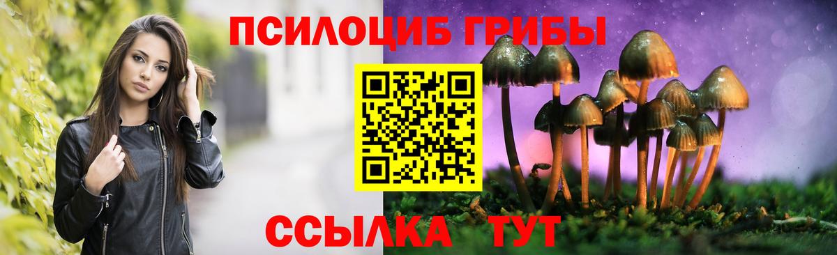 Галлюциногенные грибы GOLDEN TEACHER  Вход с VPN  Чистополь 